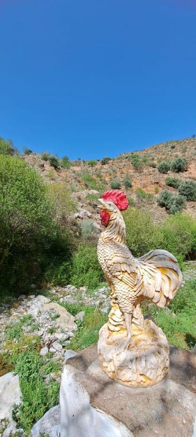 فيلا Molino Laroya المظهر الخارجي الصورة
